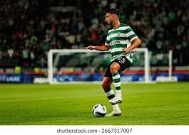 MLB》大谷翔平「二刀流」齐传奇贝比鲁斯，10轰夺回全垒打王！ 5局无失分却嘟嘴退场